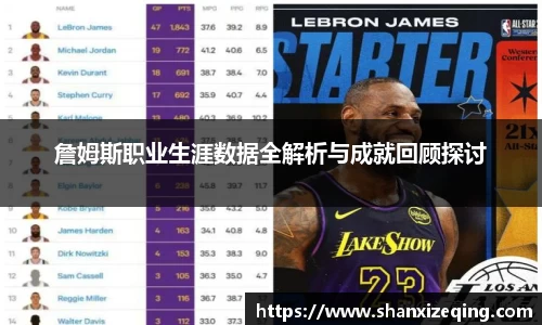 詹姆斯职业生涯数据全解析与成就回顾探讨